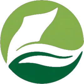 Dream Sponsor — strategic partner of Dream Courts